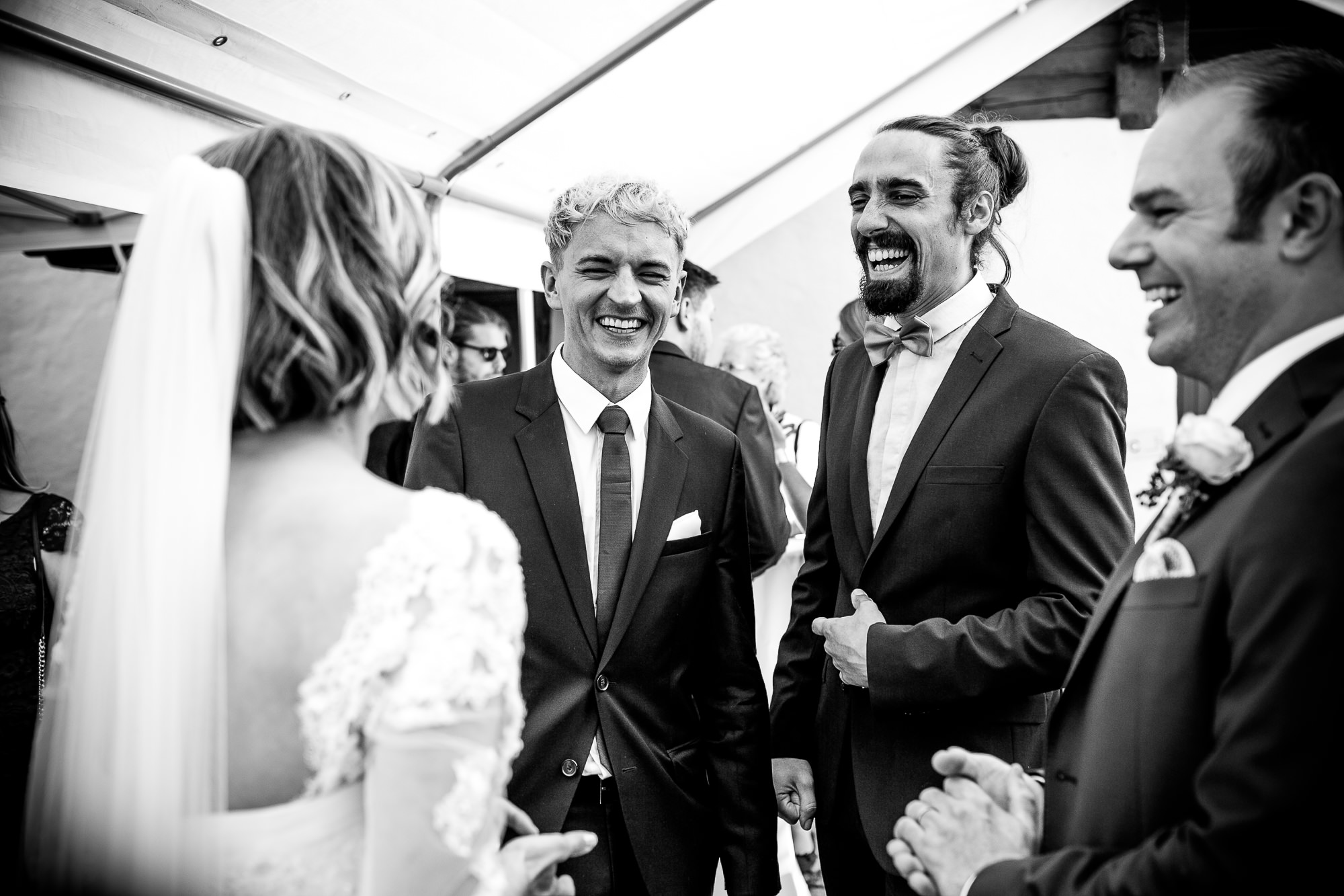 Export x3 050 HE 551 Beispiele Eva 2016